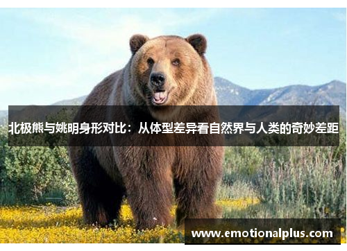 北极熊与姚明身形对比：从体型差异看自然界与人类的奇妙差距