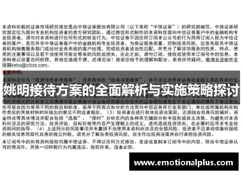 姚明接待方案的全面解析与实施策略探讨
