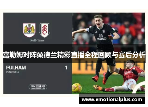 富勒姆对阵桑德兰精彩直播全程回顾与赛后分析